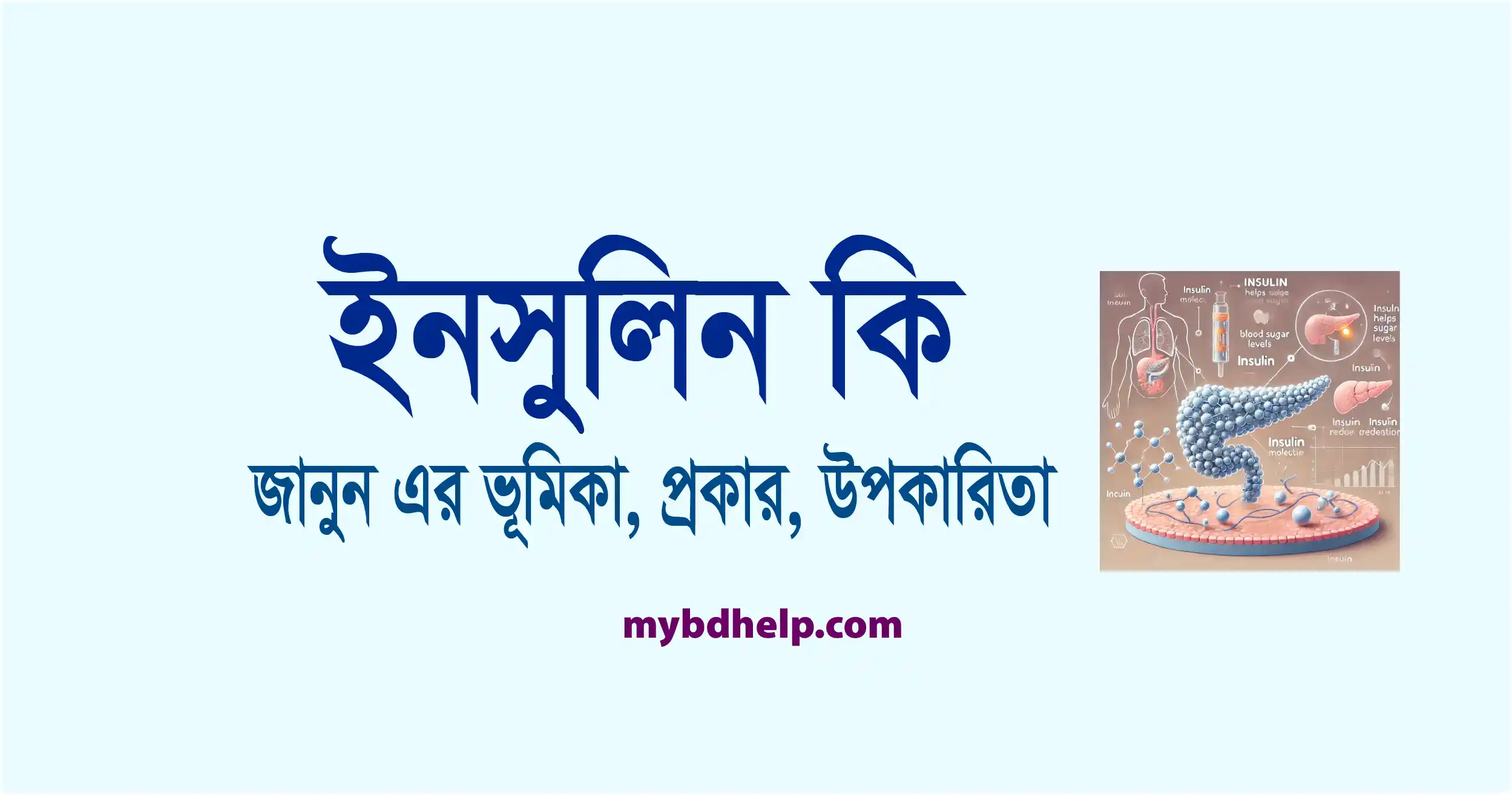 Mybdhelp.com-ইনসুলিন কি