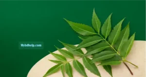 mybdhelp.com-নিম পাতার উপকারিতা ও অপকারিতা